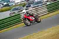 Vintage-motorcycle-club;eventdigitalimages;mallory-park;mallory-park-trackday-photographs;no-limits-trackdays;peter-wileman-photography;trackday-digital-images;trackday-photos;vmcc-festival-1000-bikes-photographs